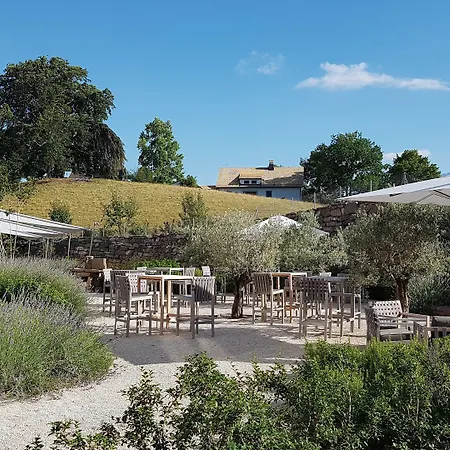 Modern Times Hotel, Vevey, A Tribute Portfolio Hotel 4*