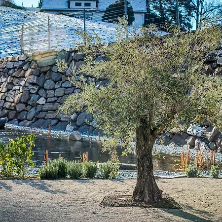 Modern Times Hotel, Vevey, A Tribute Portfolio Vevey