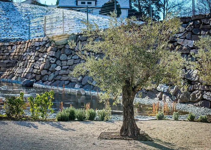 Modern Times Hotel, Vevey, A Tribute Portfolio Vevey