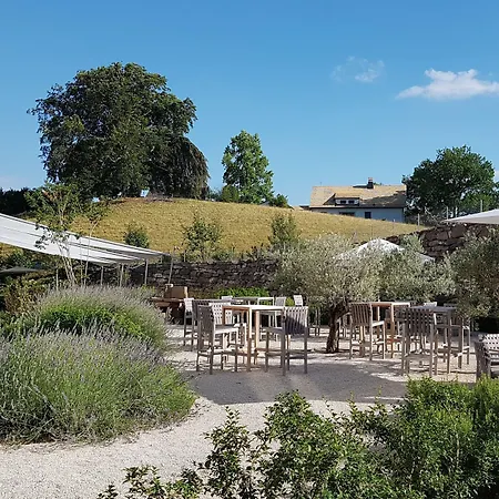 Hotel Modern Times Vevey